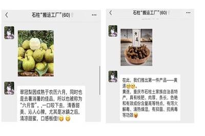 【三下鄉】“帶貨”農產品，教育咨詢助力脫貧